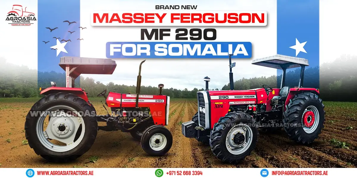 massey ferguson MF290 for sale in somalia by agroasia tractors